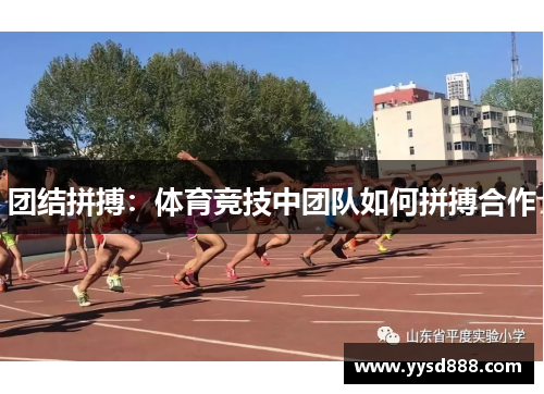团结拼搏：体育竞技中团队如何拼搏合作