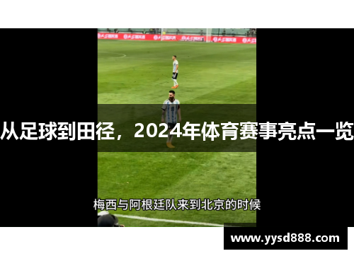从足球到田径，2024年体育赛事亮点一览