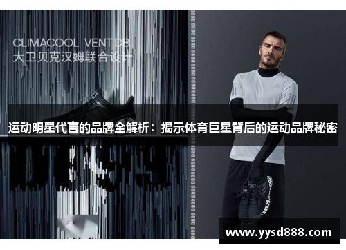 运动明星代言的品牌全解析：揭示体育巨星背后的运动品牌秘密
