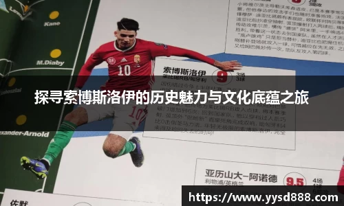 探寻索博斯洛伊的历史魅力与文化底蕴之旅